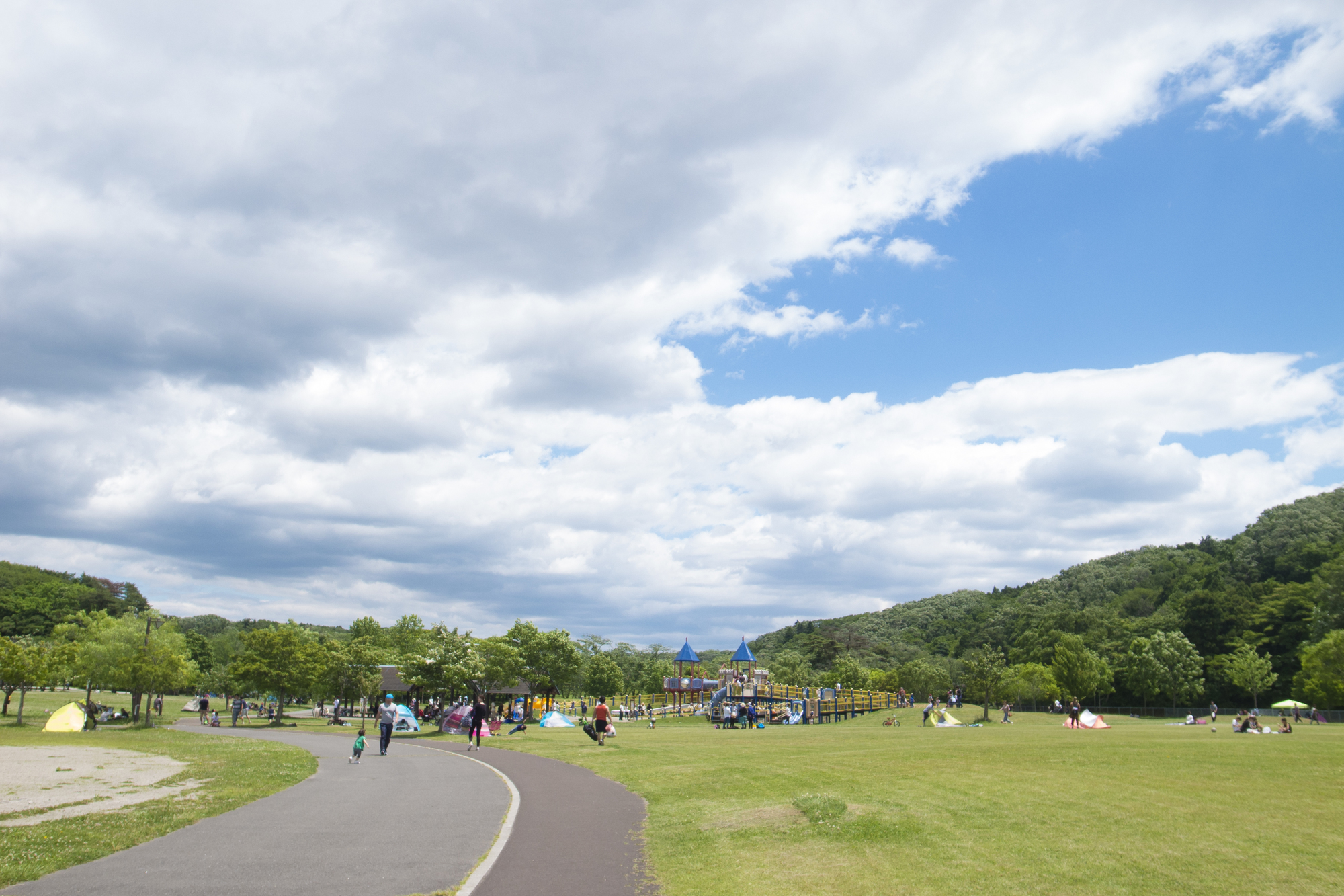 広大な自然があるほか、遊具も豊富に揃う「モリリン加瀬沼公園」