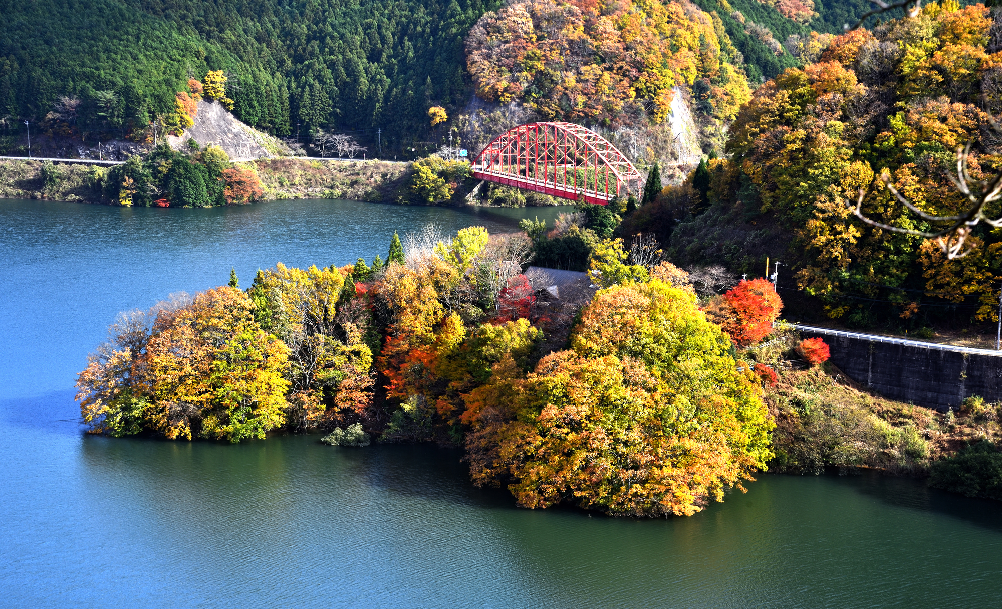 美しい山々に囲まれた「青蓮寺湖（しょうれんじこ）」