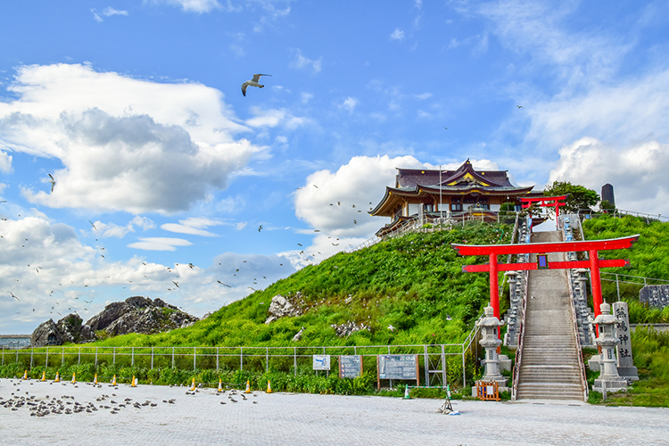 ウミネコ繁殖地として知られる蕪嶋神社