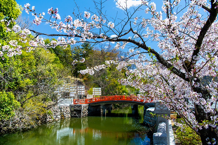 甲府市の武田神社