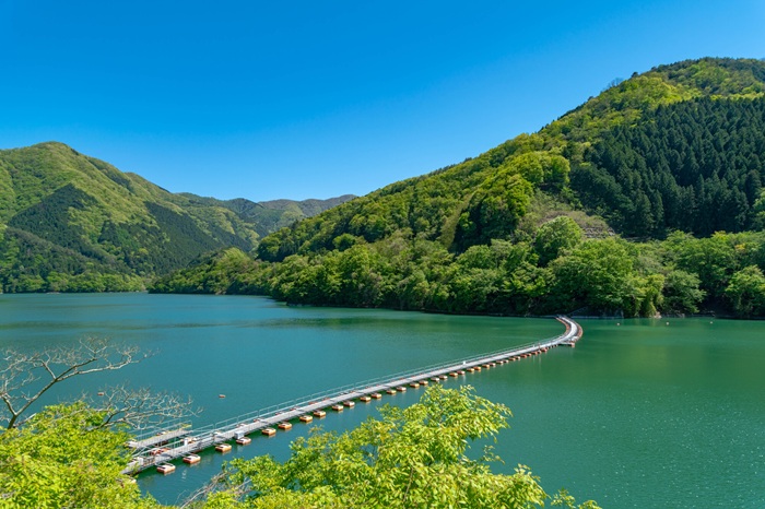 奥多摩湖には2つの浮橋がかけられており、通称「ドラム缶橋」と呼ばれているのが麦山浮橋。浮力を利用してかけられた橋で、かつては本物のドラム缶を使っていた