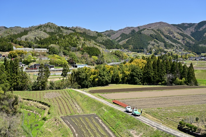 京丹波町では、丹波高原の気候・風土を生かした質の高い農林産物を生産するほか、府内有数の酪農地帯が広がるなど、豊富な食の産地が形成されている