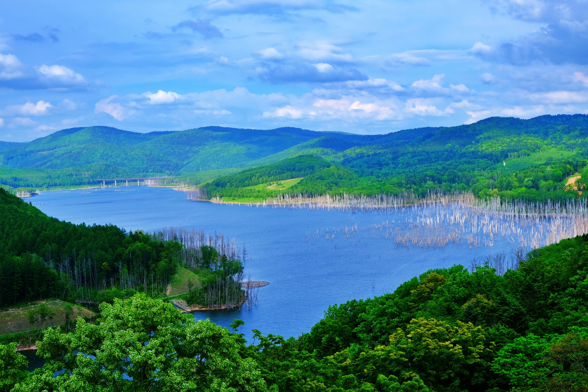 サンルダムにより形成された人造湖「しもかわ珊瑠（さんる）湖」