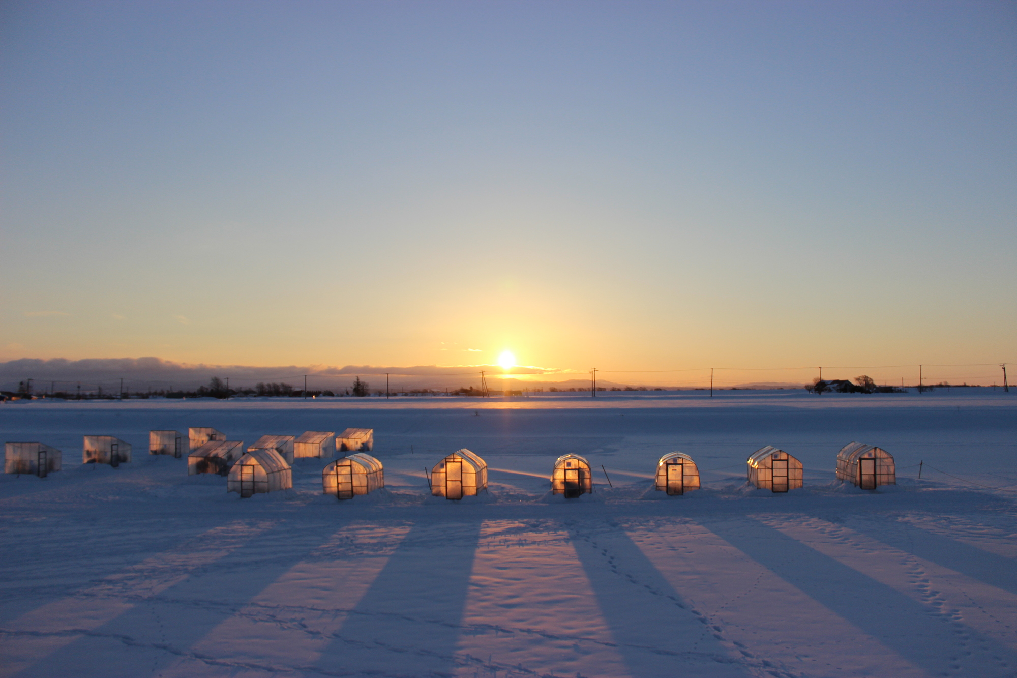 一年を通して楽しめる「しのつ湖」。完全凍結する1月初旬から3月上旬はワカサギ釣りのメッカになる