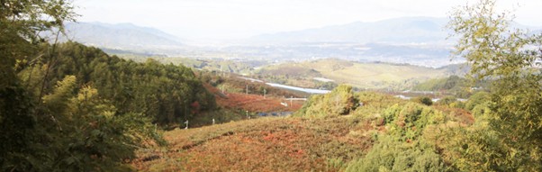 西吉野町の風景
画像提供：石井物産株式会社