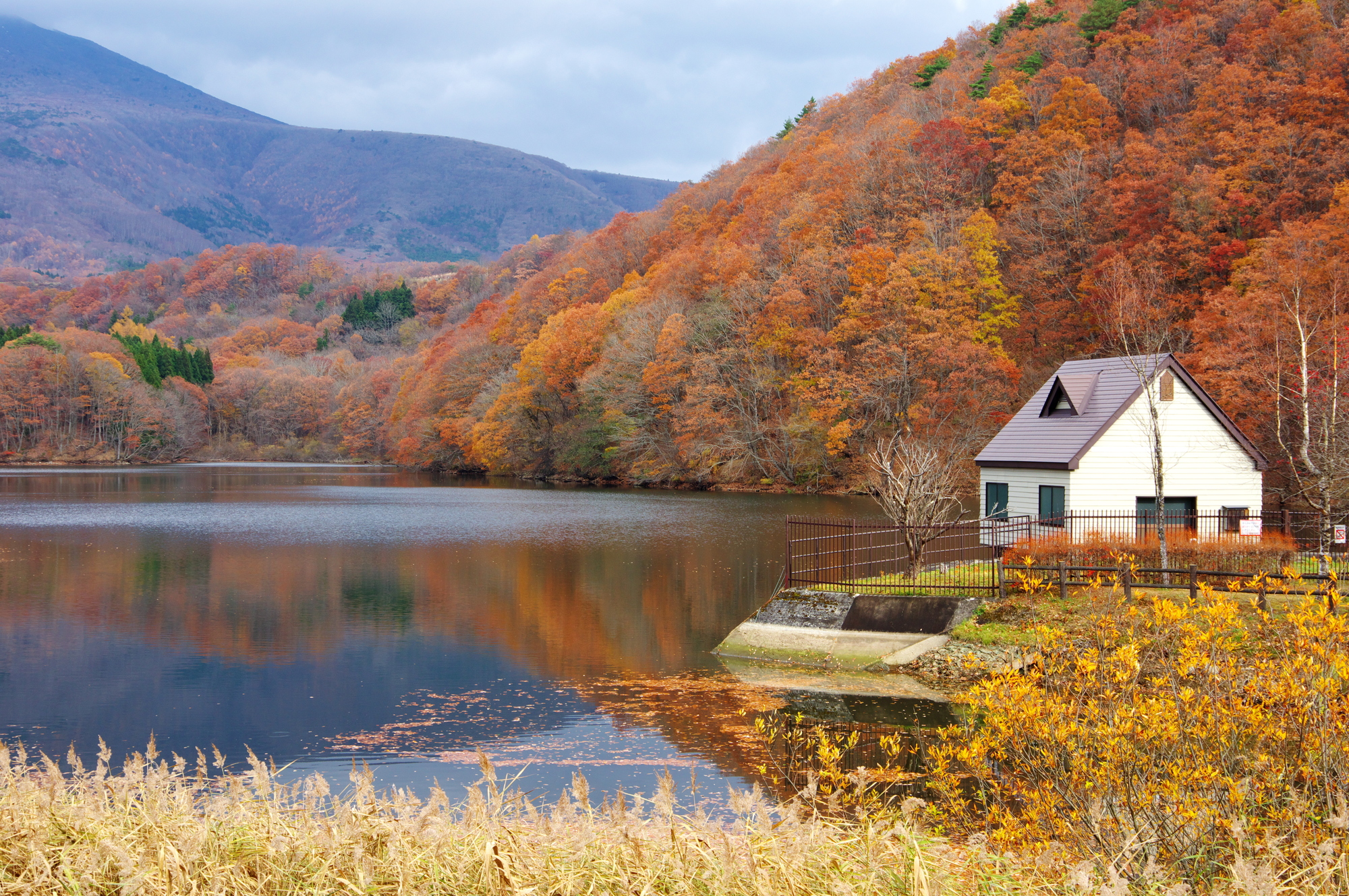 一周約2kmある長老湖の紅葉