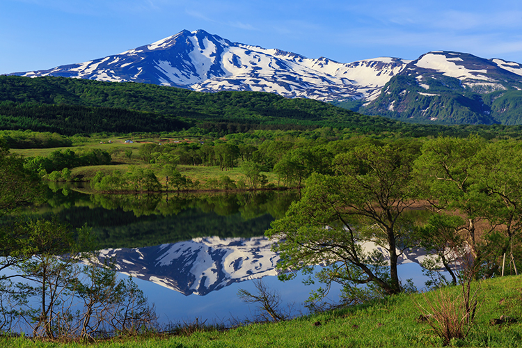 山形県内の最高峰である鳥海山。200種類以上の高山植物が生育する、高山植物の宝庫とも呼ばれる