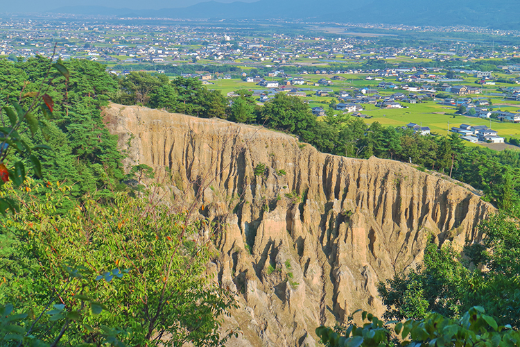 約100万年前からの堆積層が隆起し、長い年月をかけて風雨に削られてできた阿波の土柱