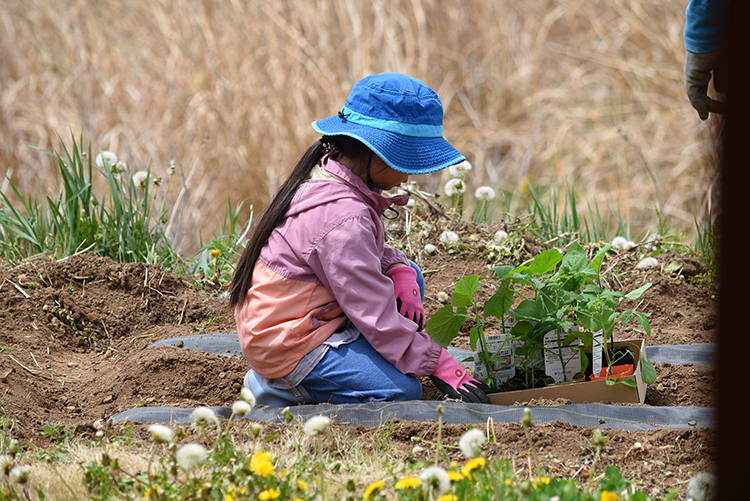 庭先の家庭菜園では、毎年子どもたちが育てたい作物を決めて、苗植えから水やりまで担当。食育にも繋がっている