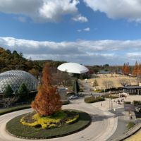 名古屋に次ぐ人口をかかえる産業と観光の中核都市・豊田市の住みやすさや治安情報をご紹介！