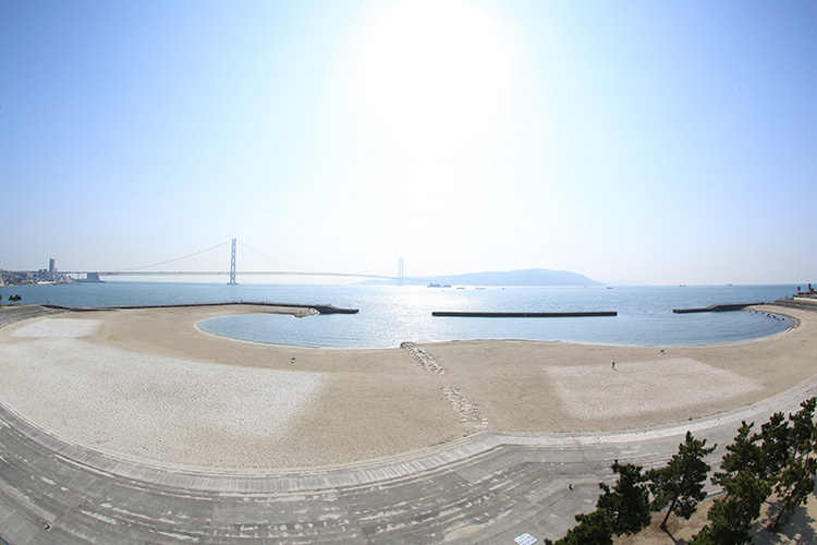  JR朝霧駅南側すぐというアクセスのよさから、多くの人が訪れる
（写真提供：大蔵海岸公園）