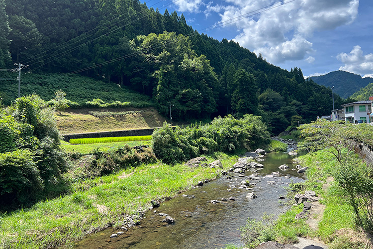 町の中心部を流れる梼原川。夏になれば、子どもたちが水遊びをする風景が見られます