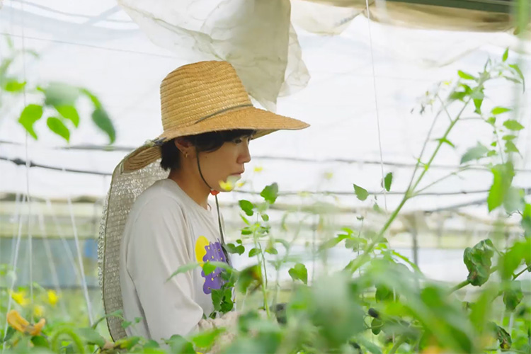 ハウスでの作業風景。夏になるとハウス内の気温は40度を軽く超えるそう