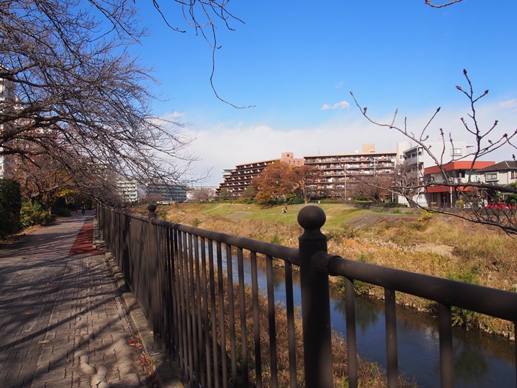 戸塚の中心を流れる柏尾川と遊歩道