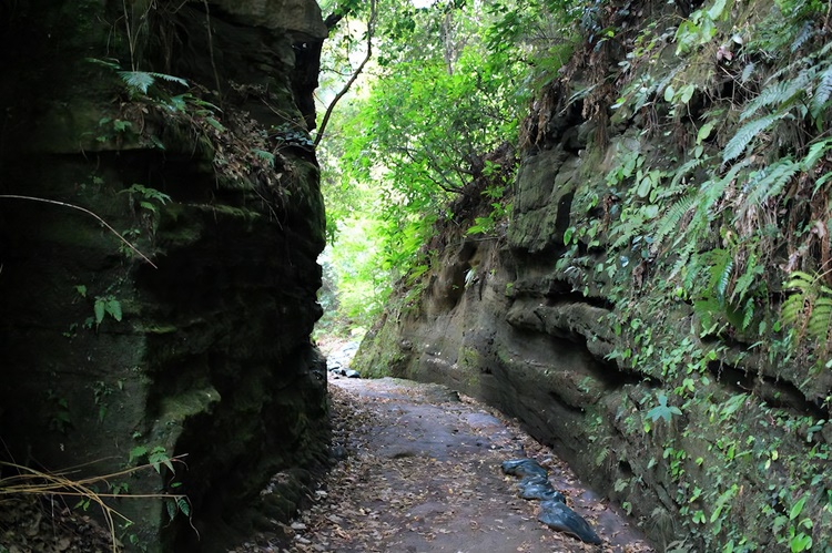 国指定史跡でもある朝夷奈切通し（あさいなきりどおし）を通るハイキングコースも。