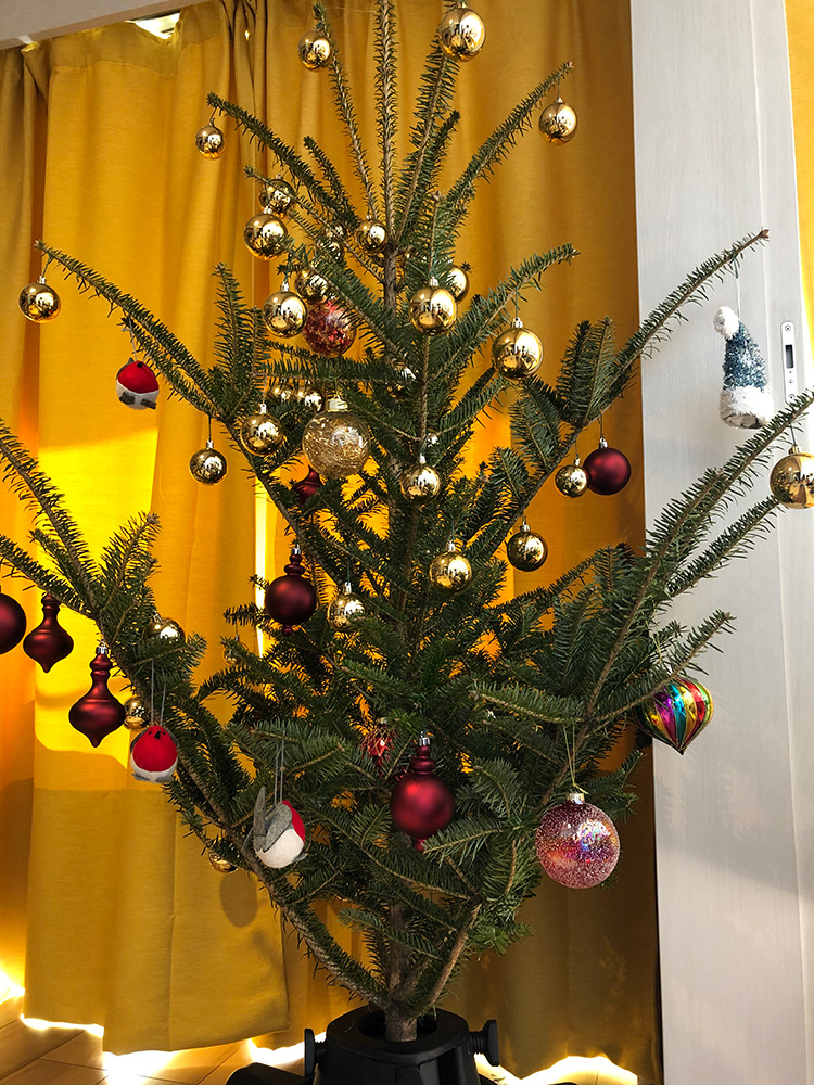生モミの木のツリーでおうちクリスマス 自腹レビュー マドリーム
