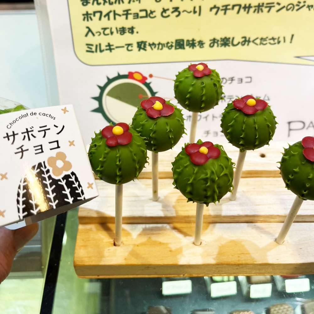 パンプルムース