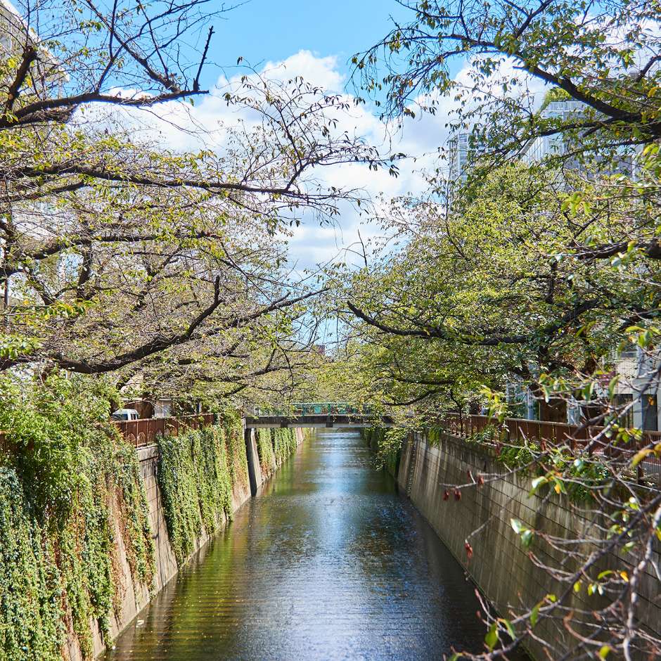 目黒川沿いの景色