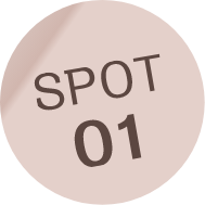 SPOT01