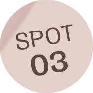 SPOT03
