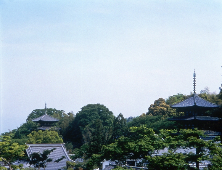 當麻寺
写真提供：一般財団法人奈良県ビジターズビューロー