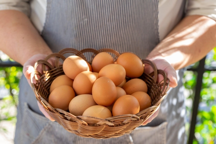 平飼いでのびのびと育てられた鶏の卵。鮮やかなオレンジ色で、つまめるほどの力強さがある
画像提供：株式会社村の駅