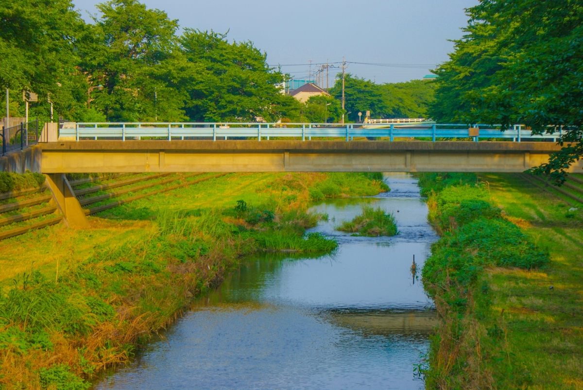 アクセス、自然、カルチャーが揃う東京都調布市の住みやすさ＆治安を紹介